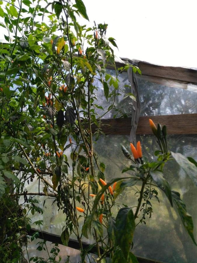 Banga-An Bnb And Coffee House サガダ エクステリア 写真